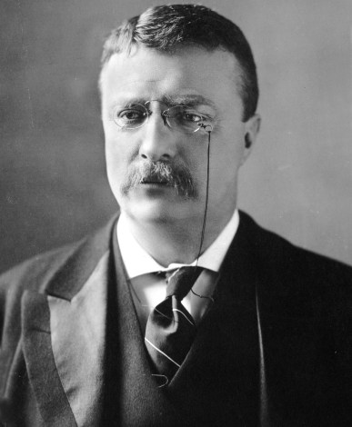 Theodore_Roosevelt_circa_1902