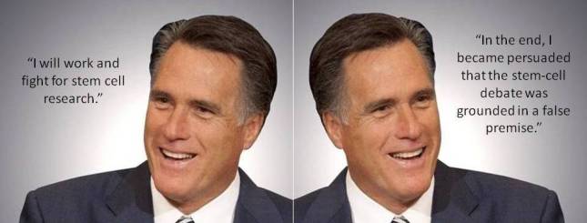 I will work and fight for stem