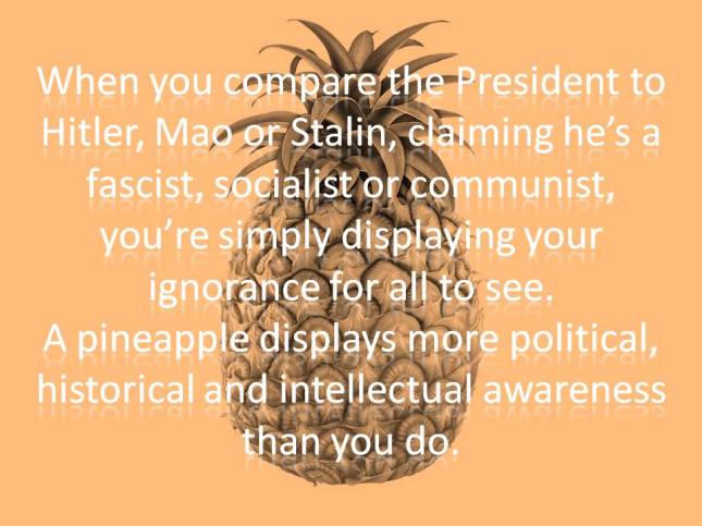 When you compare the President to Hitler,