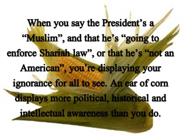 When you say the President is a